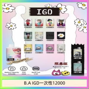 B.A IGD12000口 電子煙