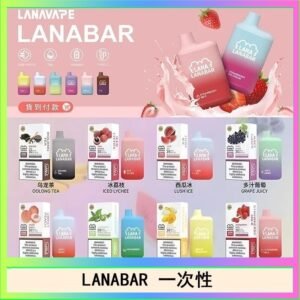 LANA BAR可充电一次性電子煙霧化5000口(3.0%)