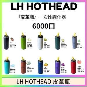 LH HOTHEAD皮革瓶電子煙可充電6000口一次性