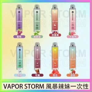 VAPOR STORM風暴辣妹一次性主機充電7500口（5%）