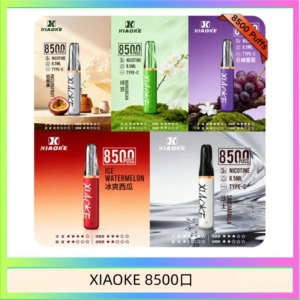 梟客XIAOKE一次性電子菸拋棄式8500口